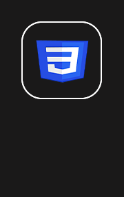 CSS Logo